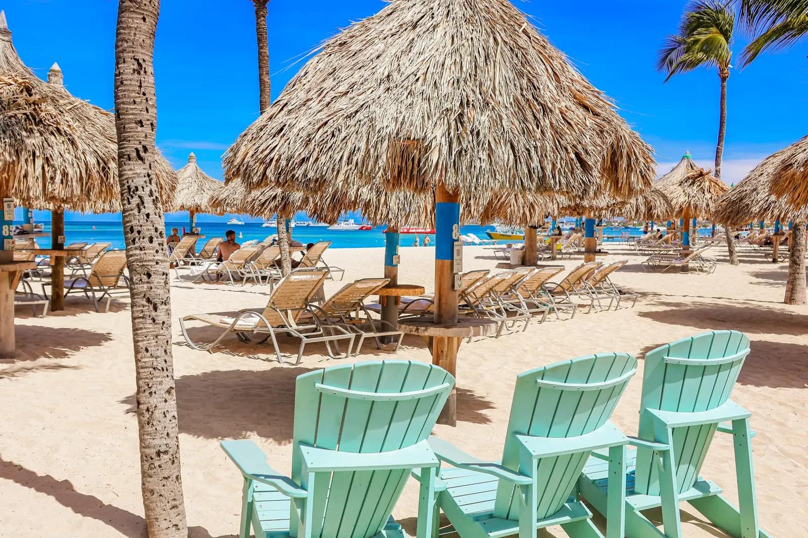Southern Caribbean — Nieuw Amsterdam