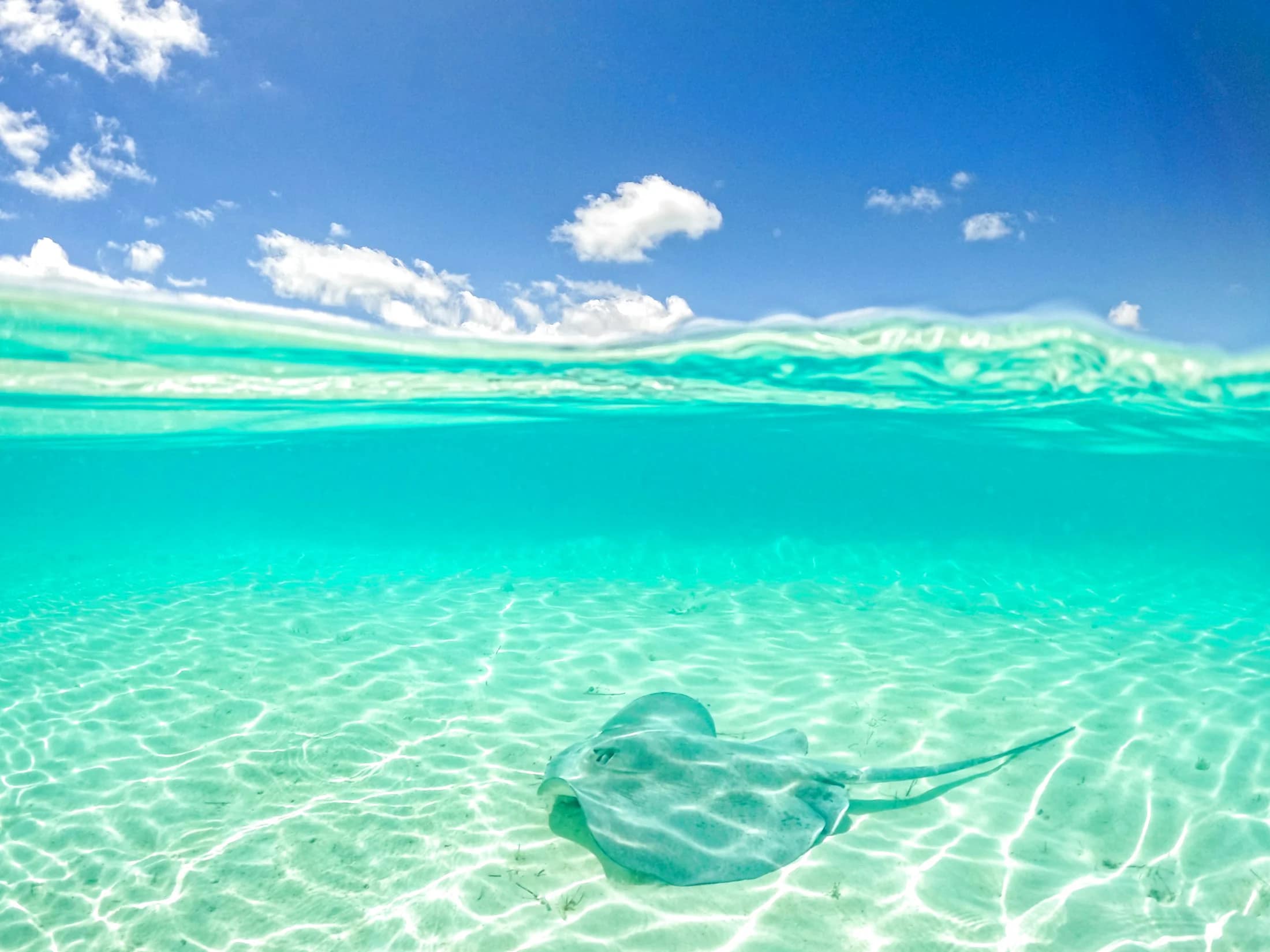Bahamas — Nieuw Amsterdam