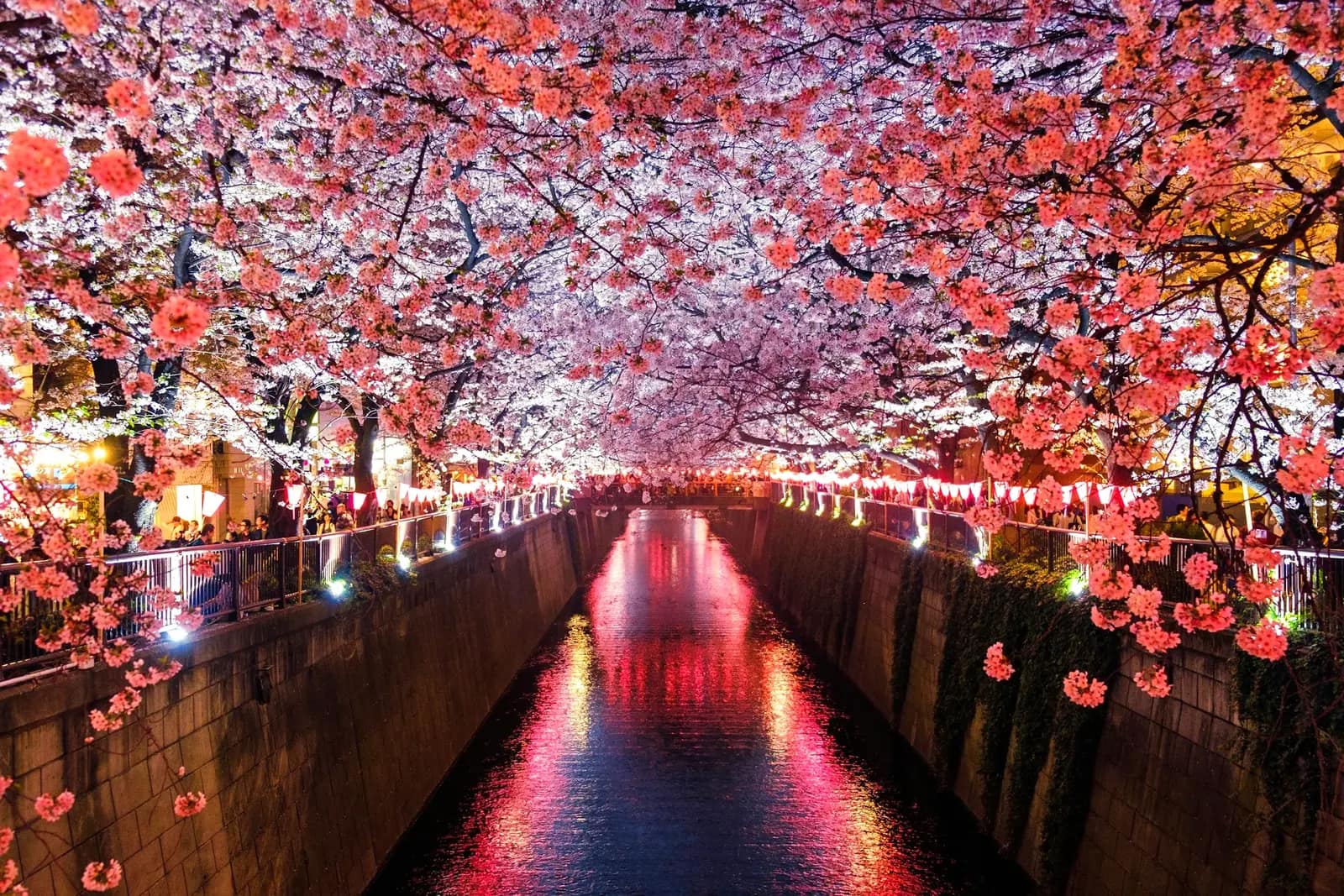 Japan — Westerdam